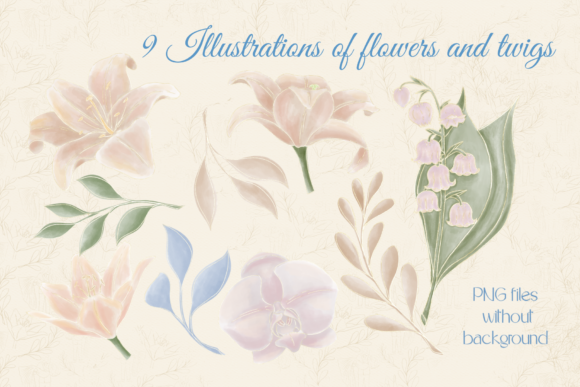 Timeless Elegance: Unlocking Creativity with Set Plant Illustrati